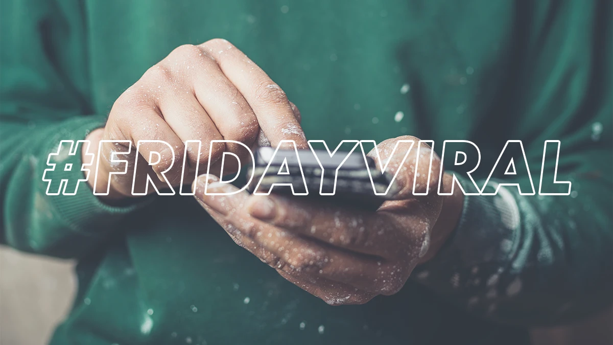 Rhino's Friday Viral 17